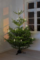 Juletræslys LED med clips 10 stk. H10,5 cm
